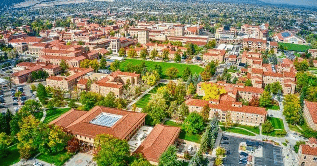 Which U.S. States Are Winning Movers in 2025